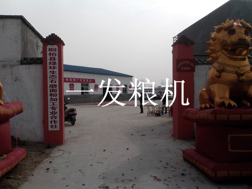 南陽(yáng)綠環(huán)石磨面粉廠隆重開業(yè)
