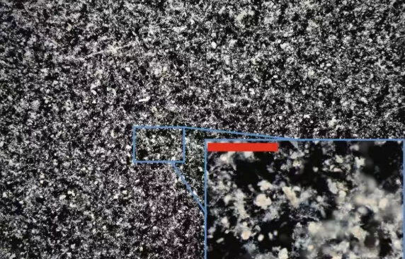 好氧顆粒污泥與絮狀污泥：廢水處理“分工合作”